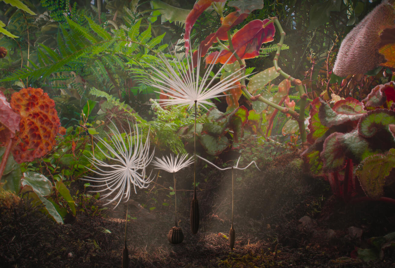 Feature film: Dandelion's Odyssey (2024-2025)